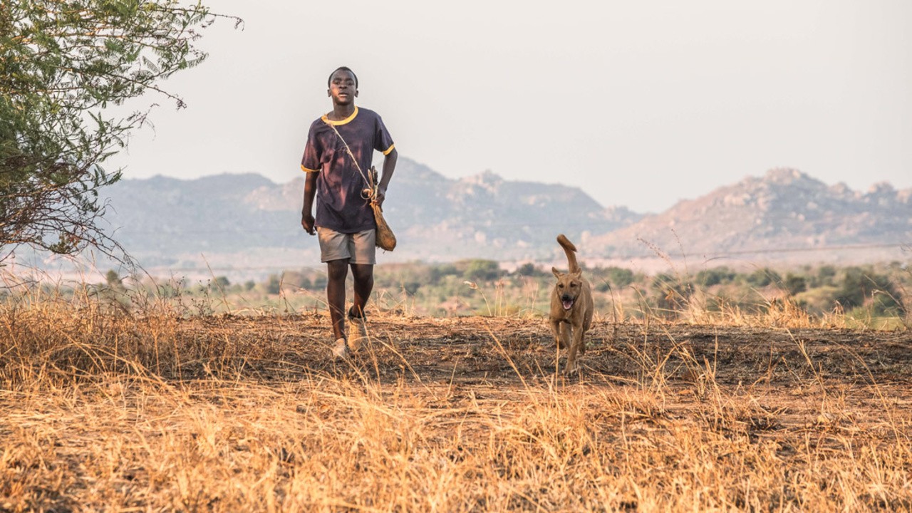 The Boy Who Harnessed the Wind