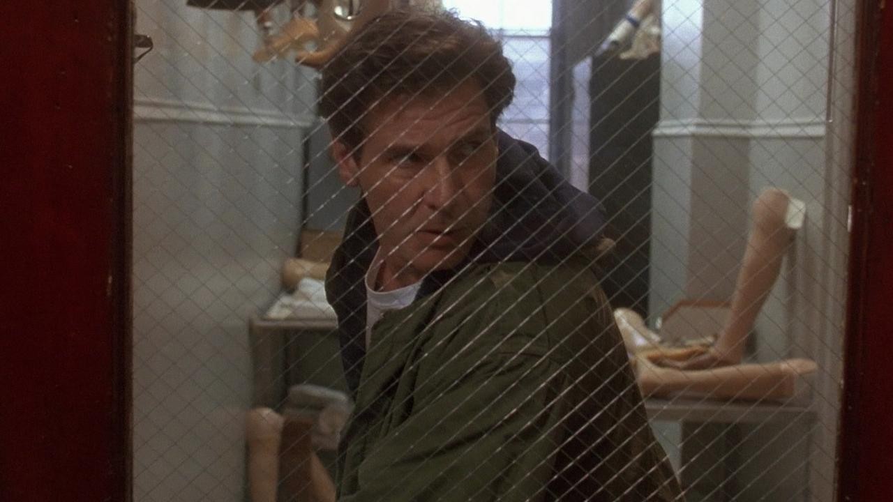 Image du film Le Fugitif