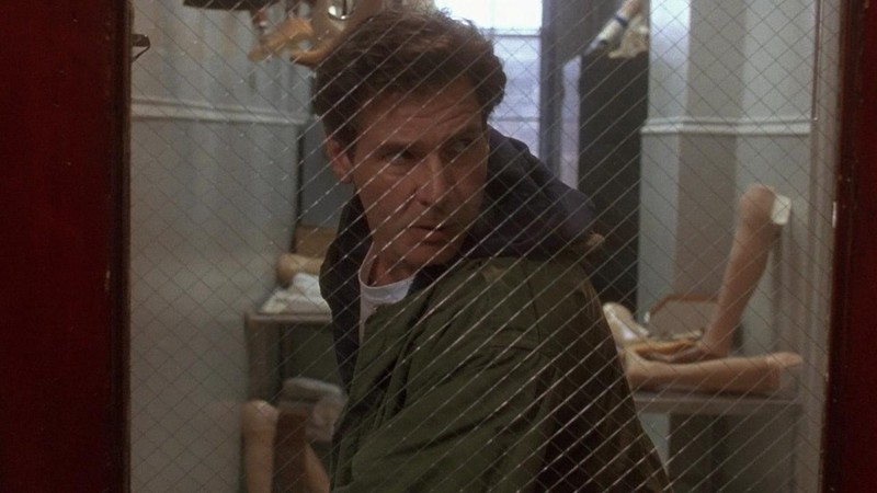 The Fugitive