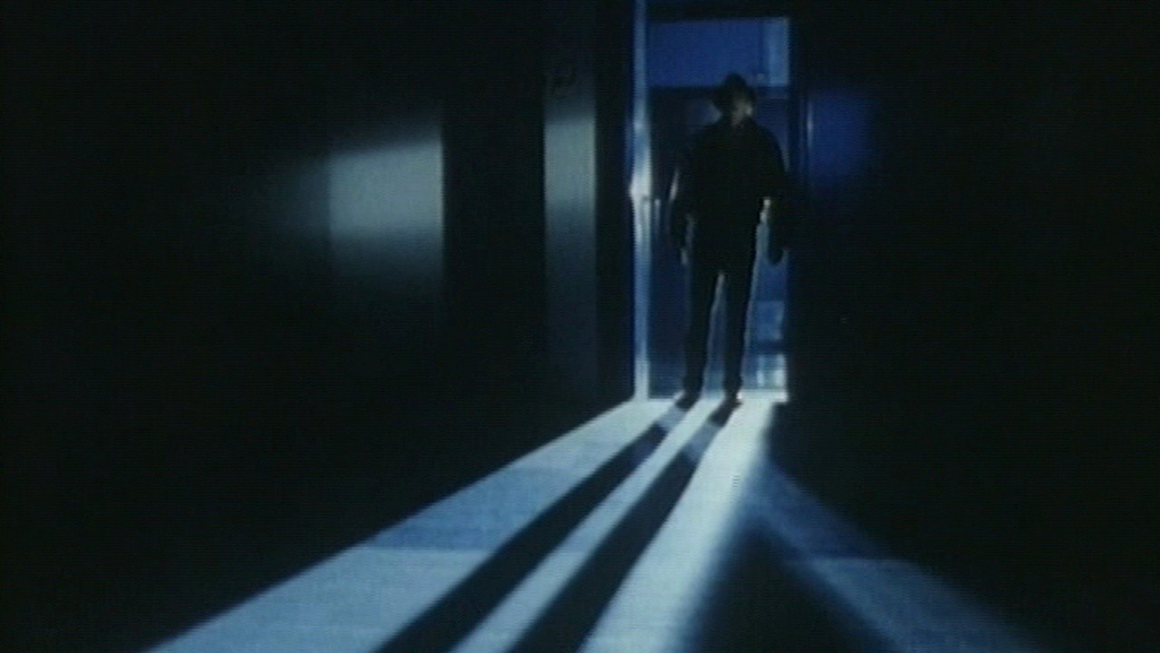 Image du film L'homme qui a vu l'homme qui a vu l'ours