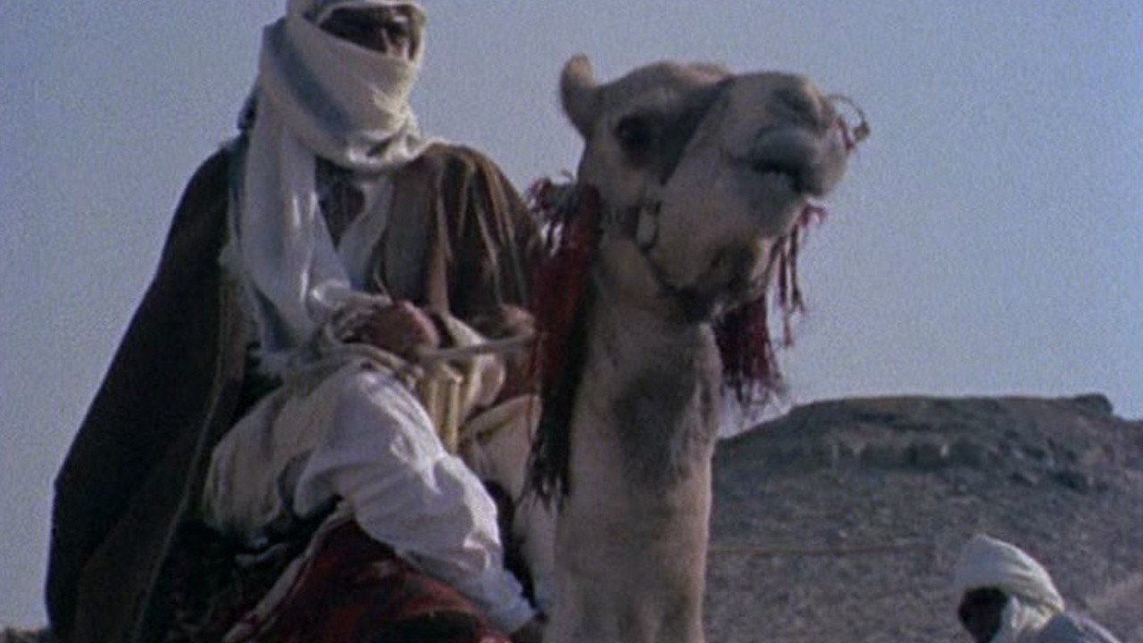 The Search for the Nile