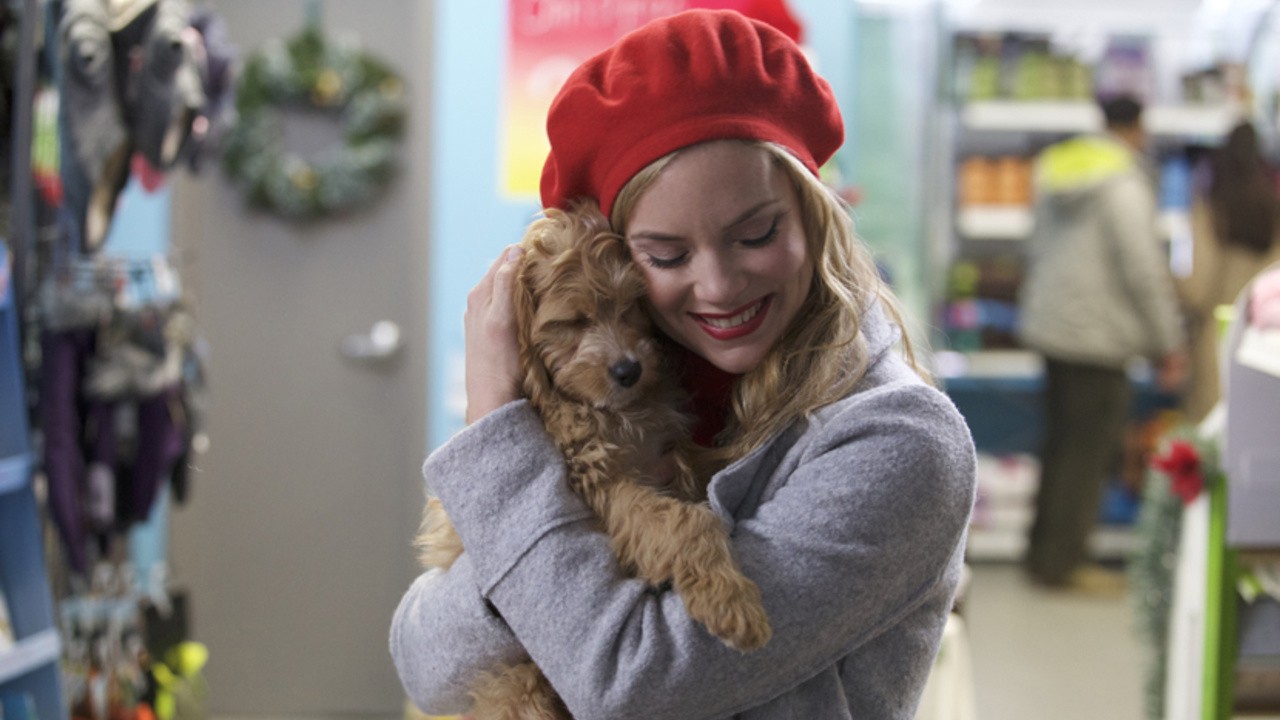 A Puppy for Christmas