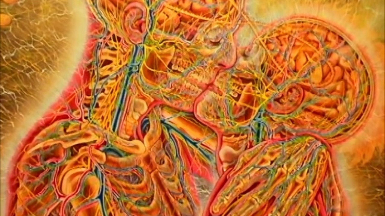 CoSM the Movie: Alex Grey & the Chapel of Sacred Mirrors