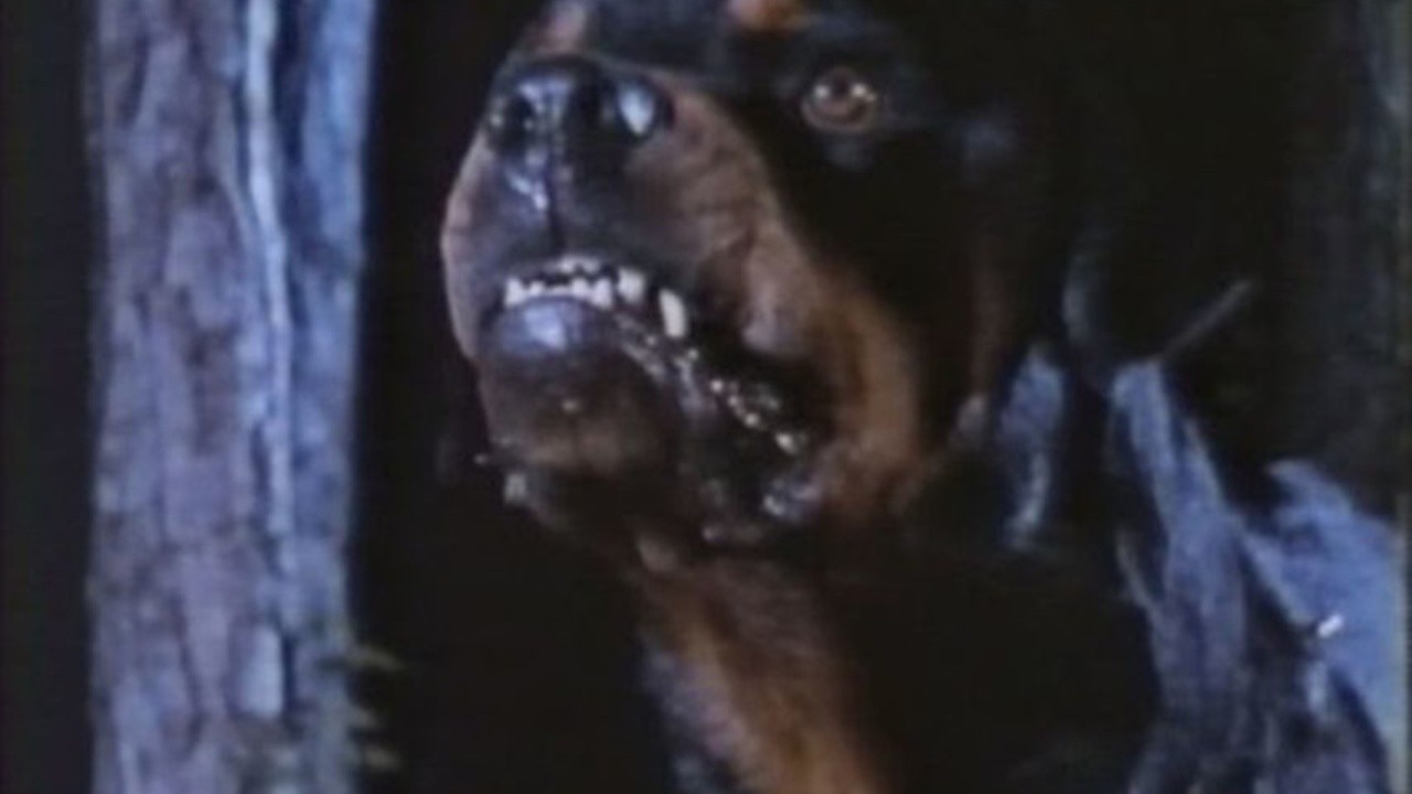 Dogs of Hell