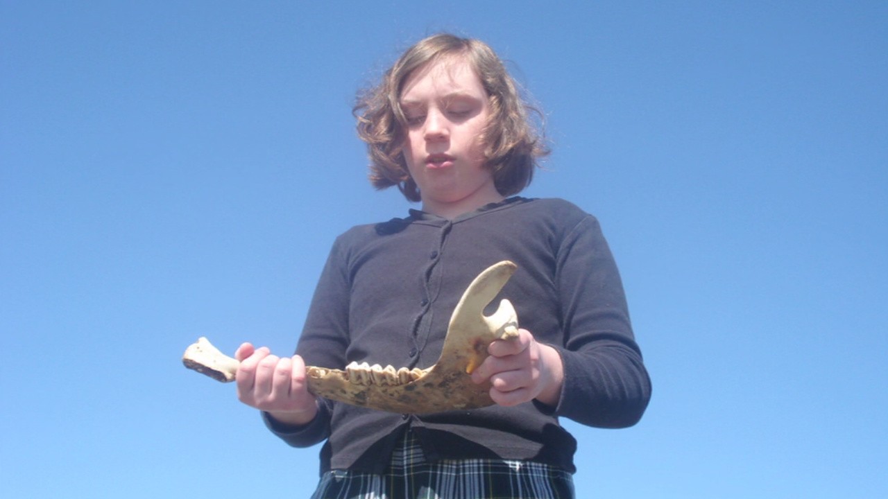 A Catalog of Anticipations