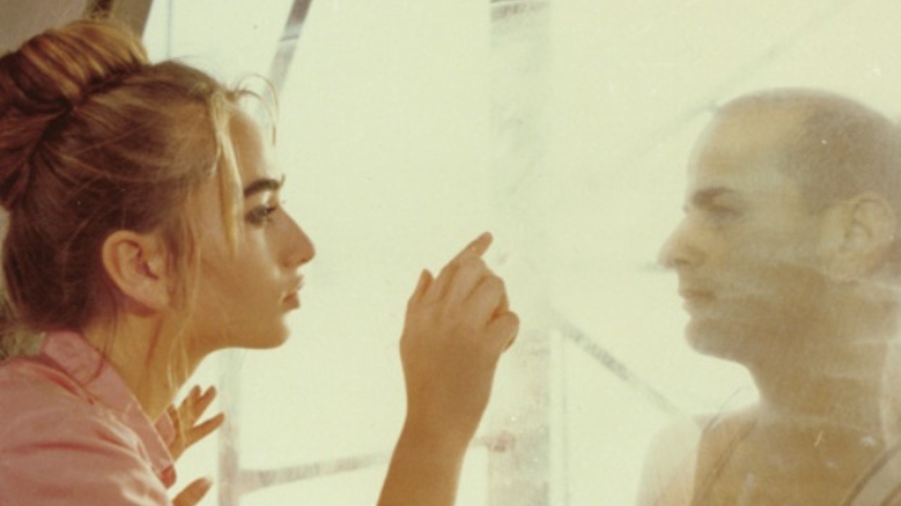 The Window Cleaner