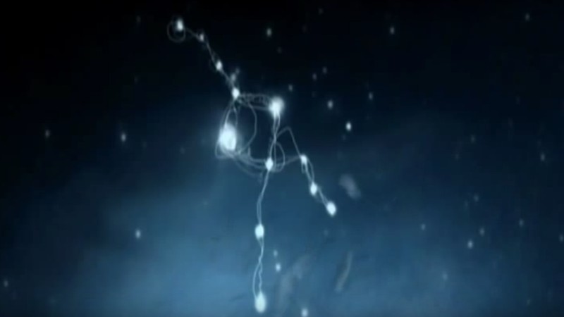 Björk: Desired Constellation [MV]