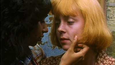 Oranges Are Not the Only Fruit