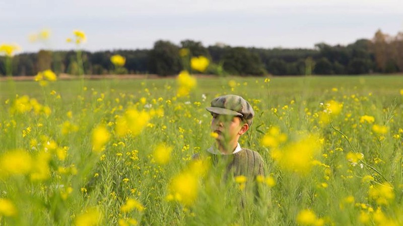 Mustard Seed