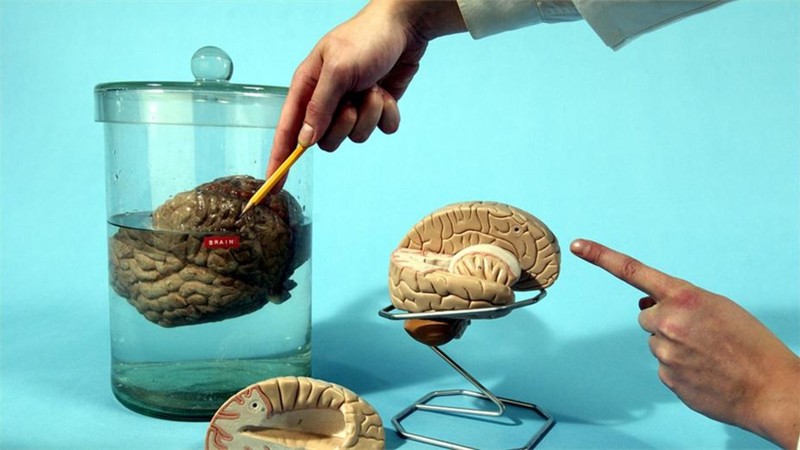 Look Around You Series 1 (2002) MUBI