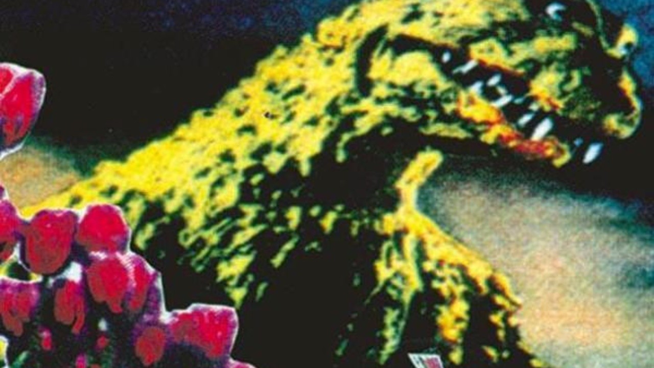 Godzilla vs. the Netherlands
