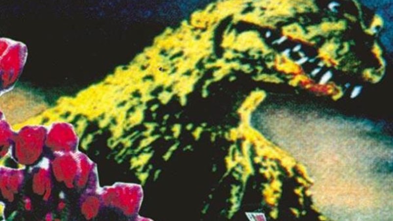 Godzilla vs. the Netherlands