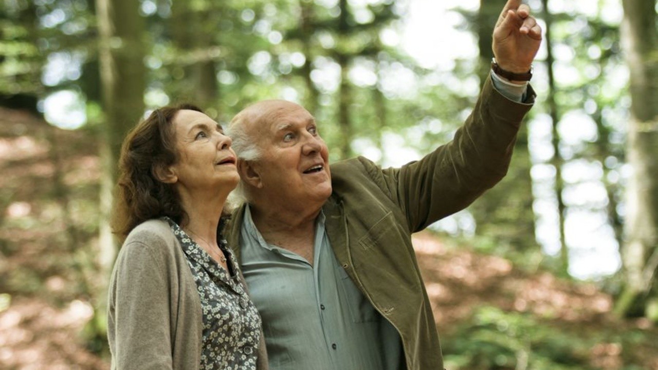 The Taste of Blueberries