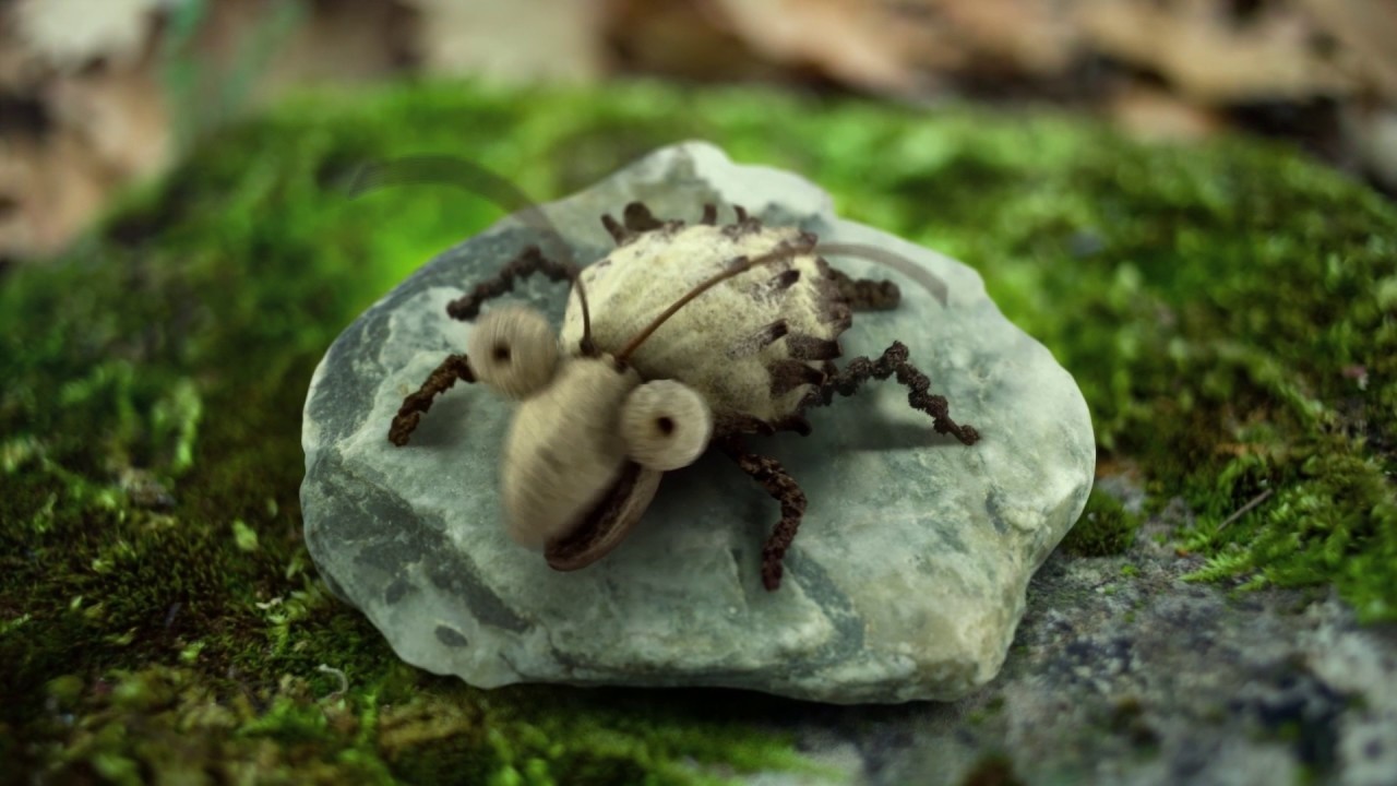 Song of the Snails on their Way to a Funeral