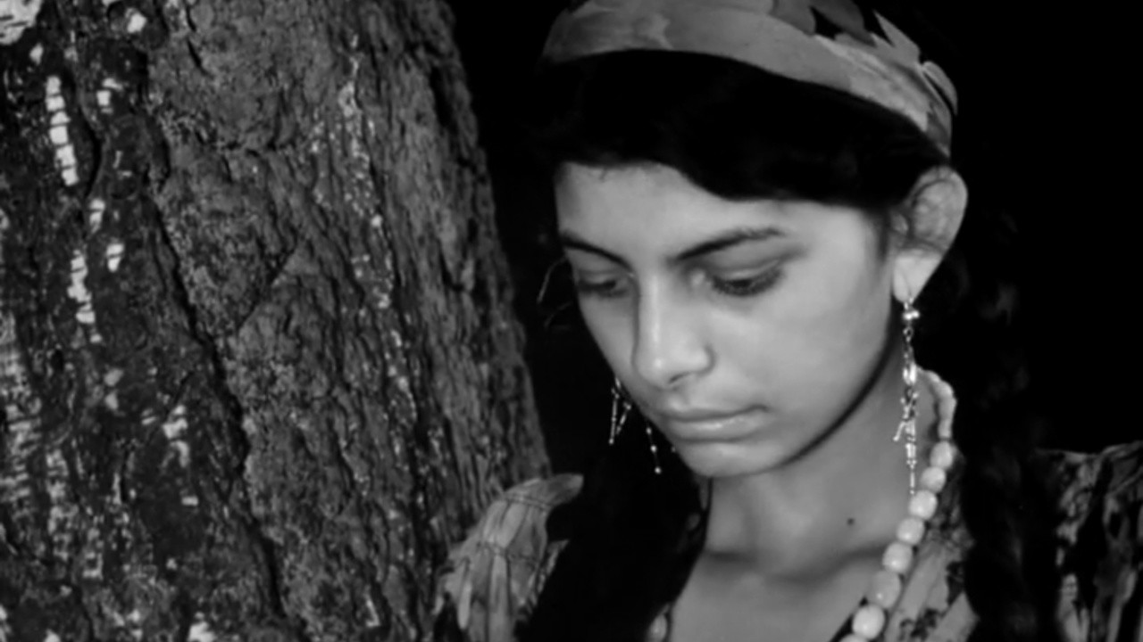 The Gypsy Camp (1954) MUBI