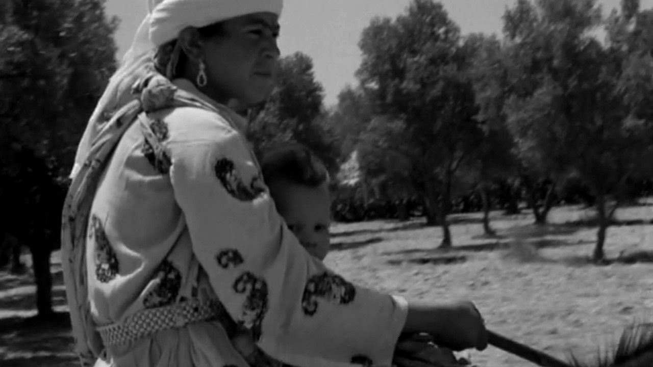 The Twenty-First (1964) | MUBI