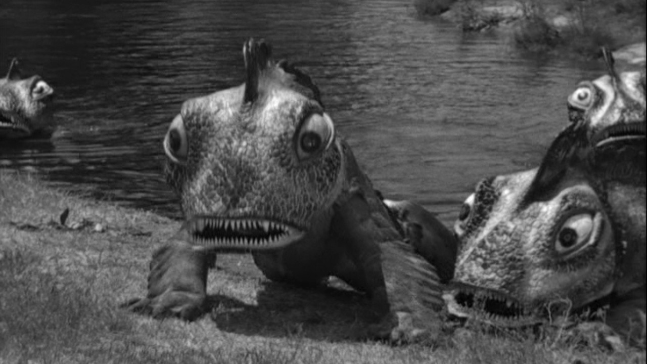 The Outer Limits: Tourist Attraction