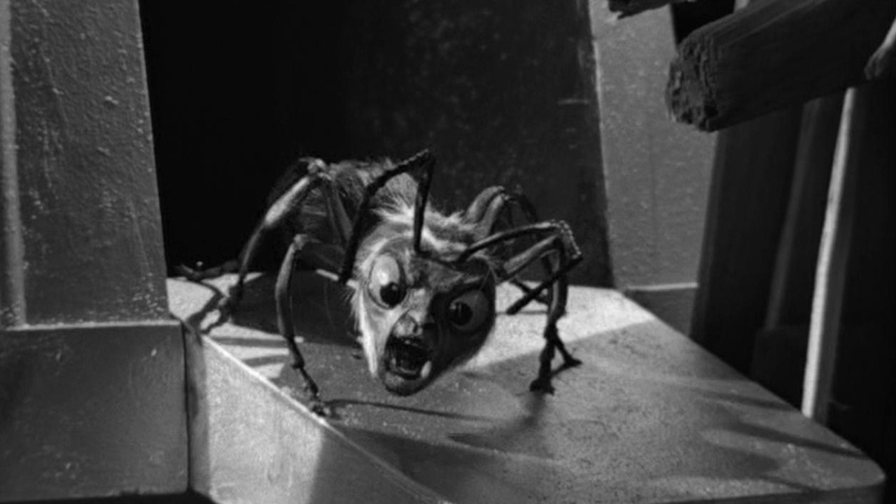 The Outer Limits: The Zanti Misfits