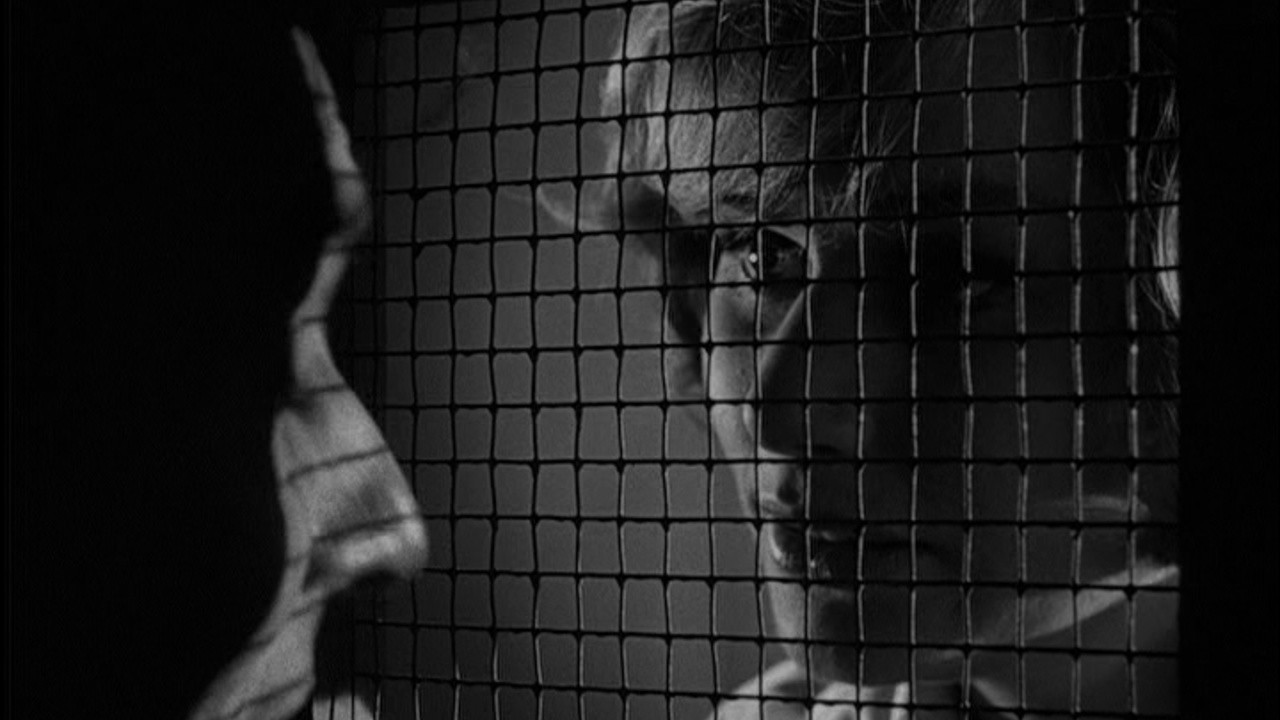 The Outer Limits: The Human Factor