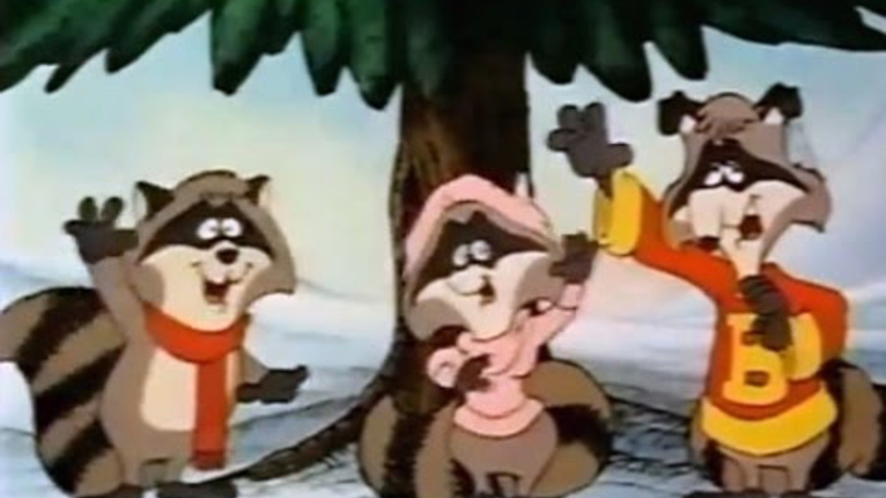 The Christmas Raccoons