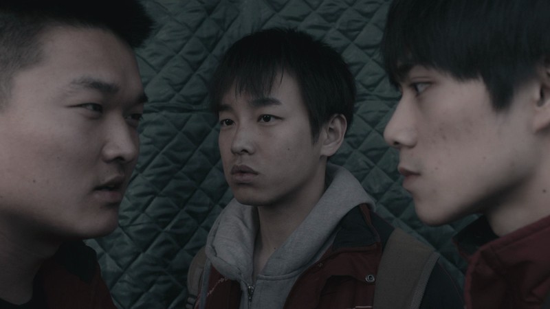 An Elephant Sitting Still