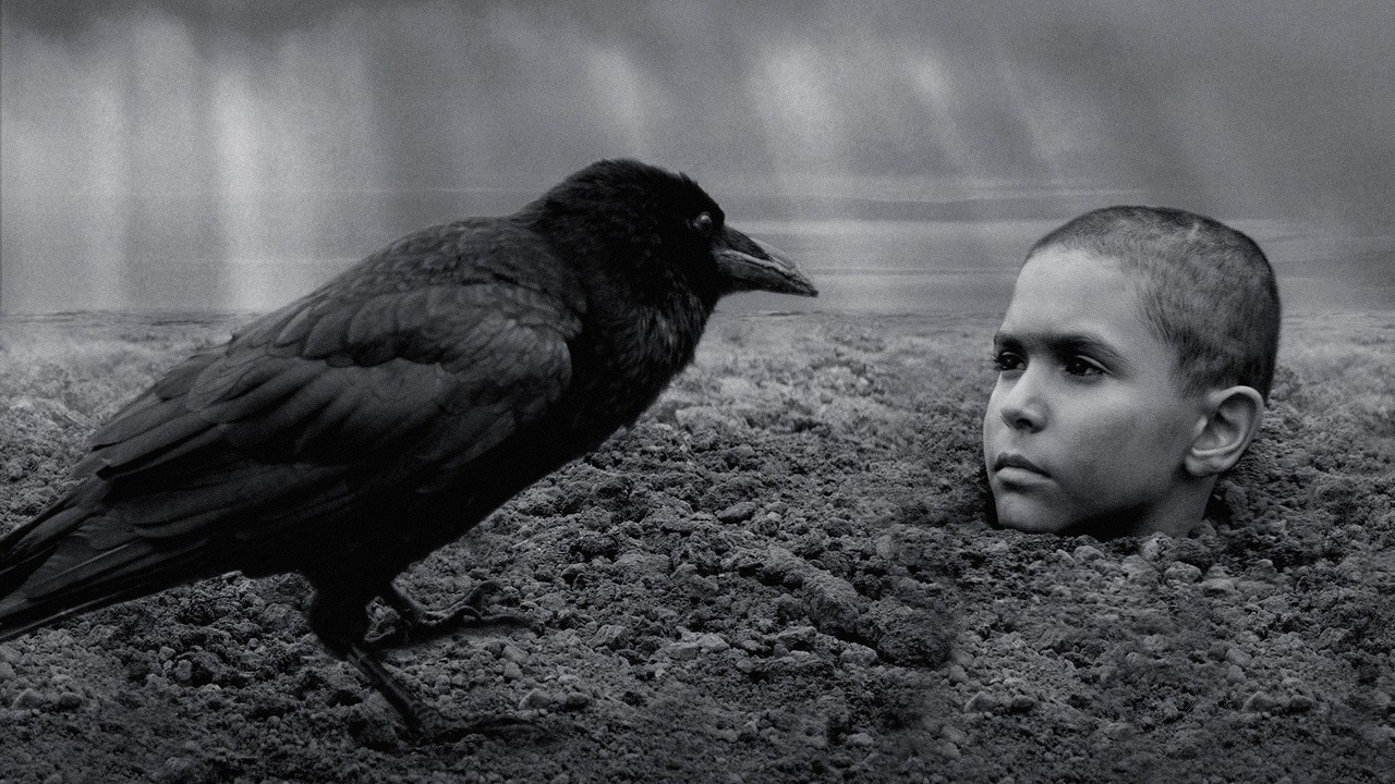 Image du film The Painted Bird