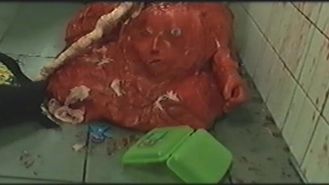 The Thingy: Confessions of a Teenage Placenta