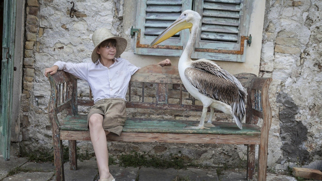The Durrells