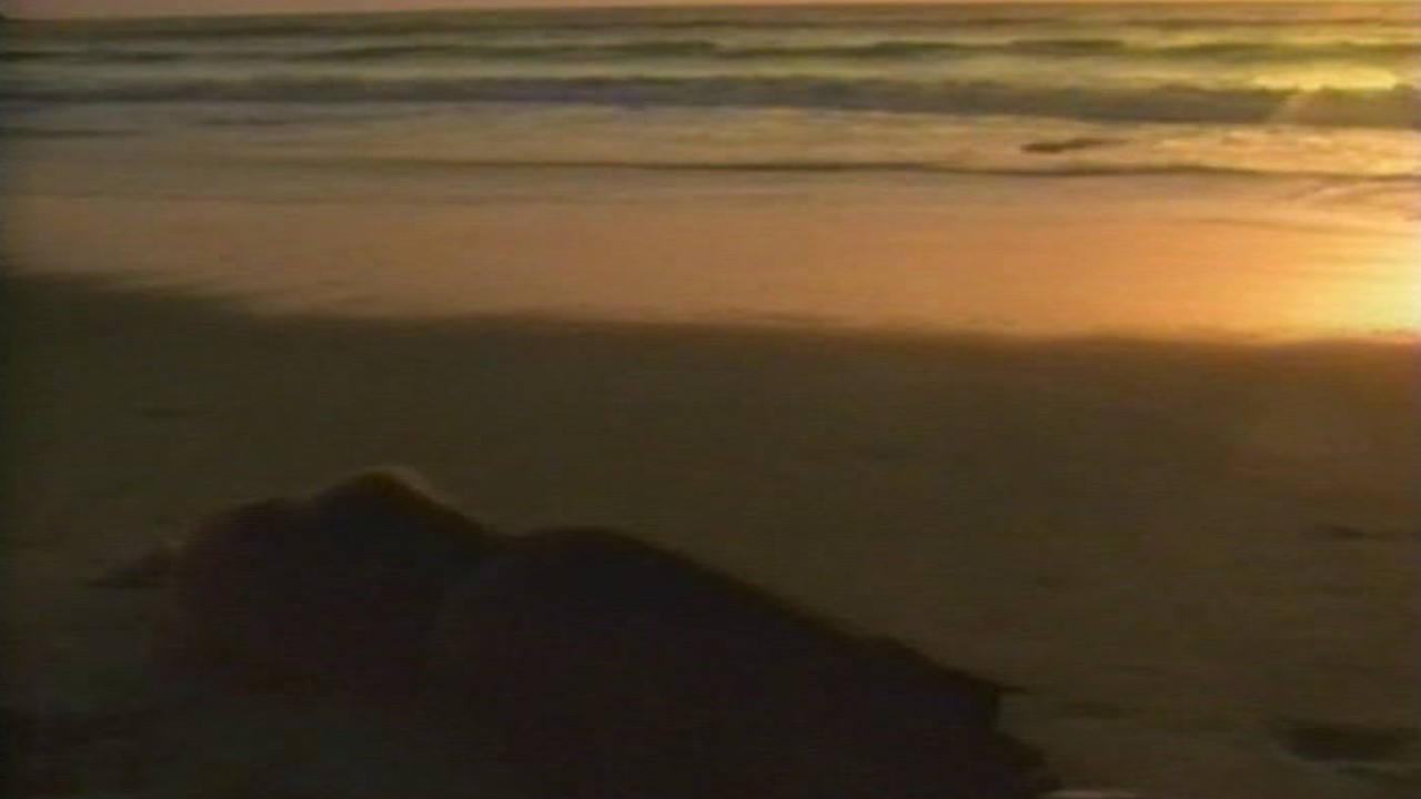 µ-Ziq: The Fear [MV]