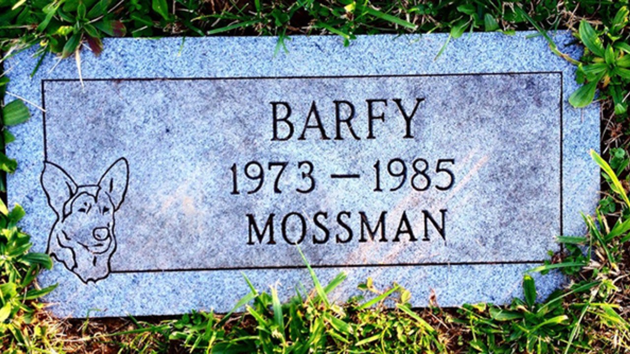 Julius Caesar Was Buried in a Pet Cemetery