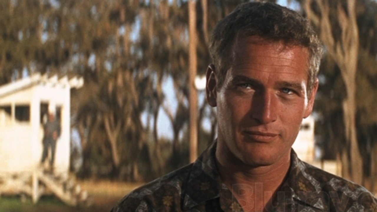 Image du film Luke la main froide