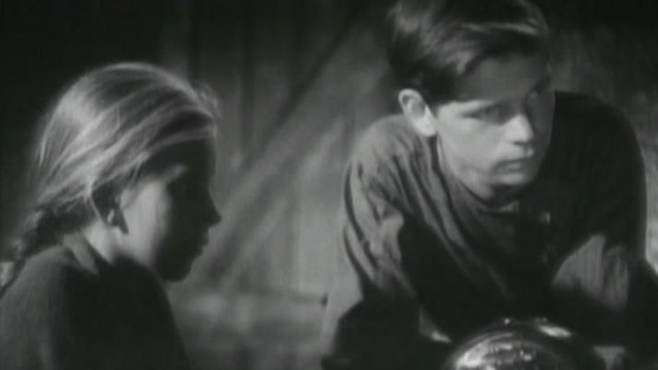 Young Partisans
