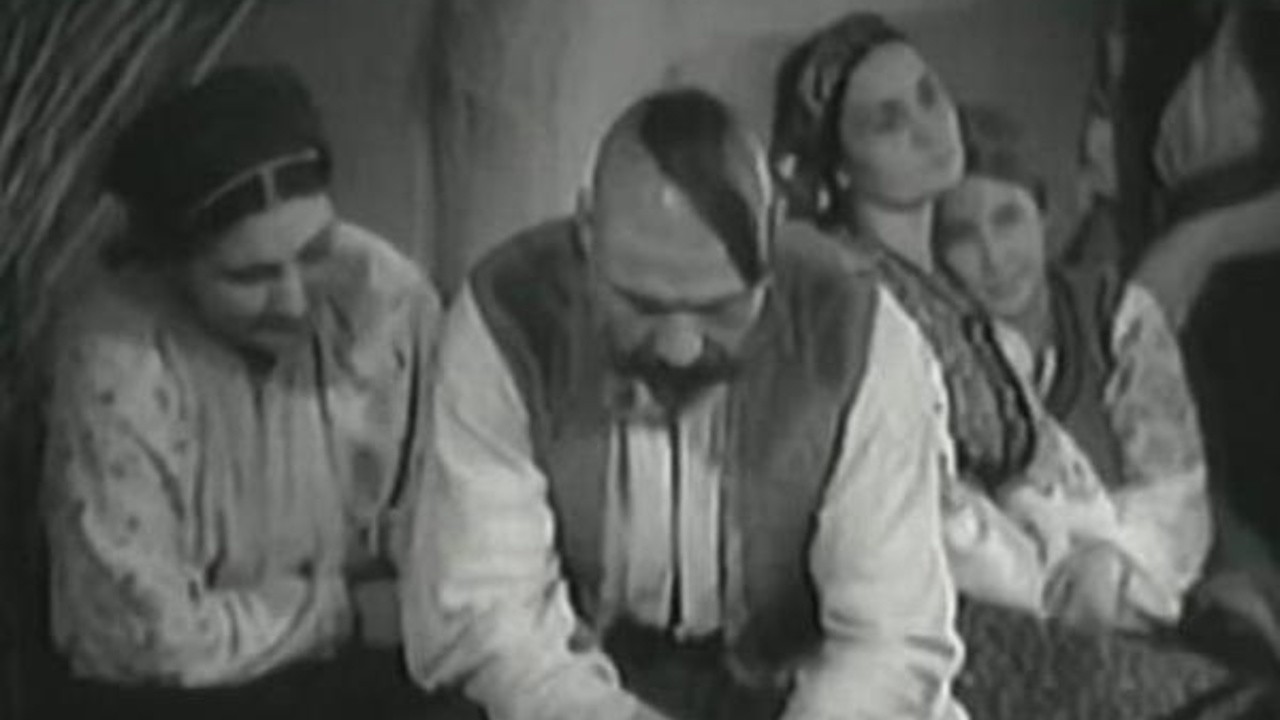 Cossacks Beyond the Danube