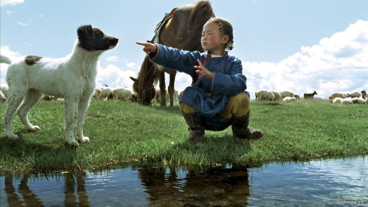 Image du film Le chien jaune de Mongolie