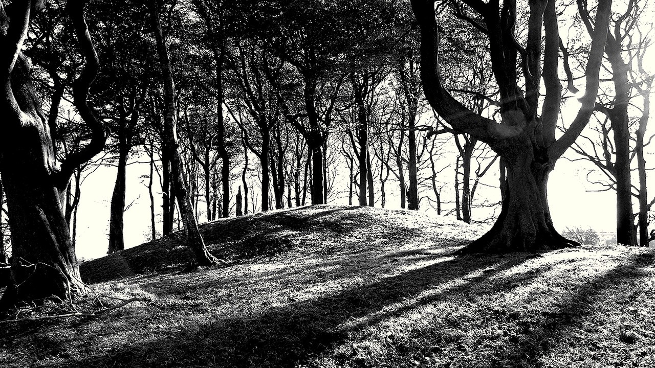 The Devil's Plantation