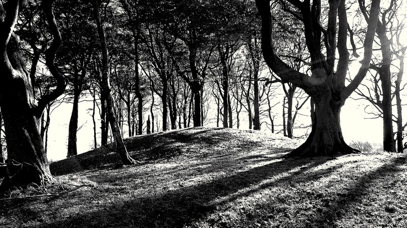 The Devil's Plantation