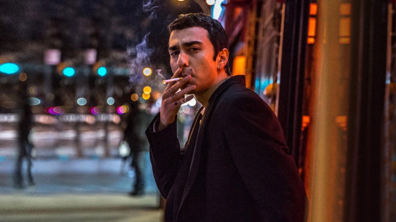 The Cat and the Moon