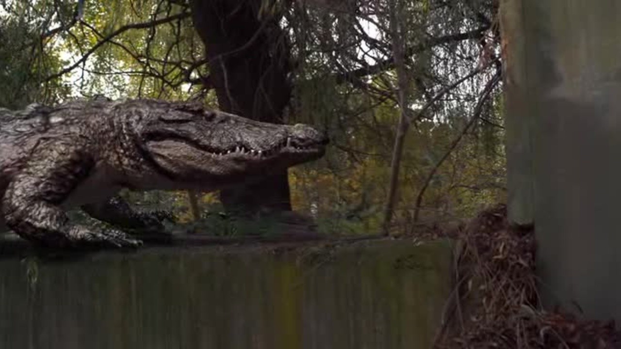 Robocroc (Robo Croc)
