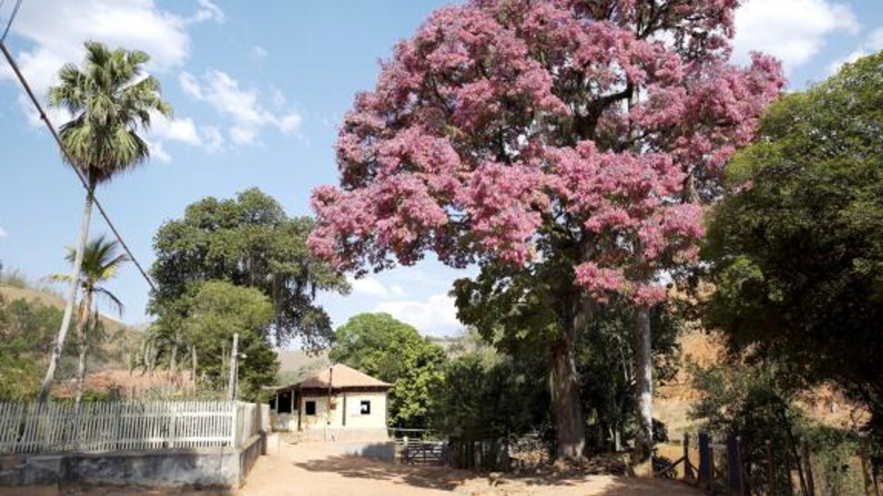 Nova Friburgo