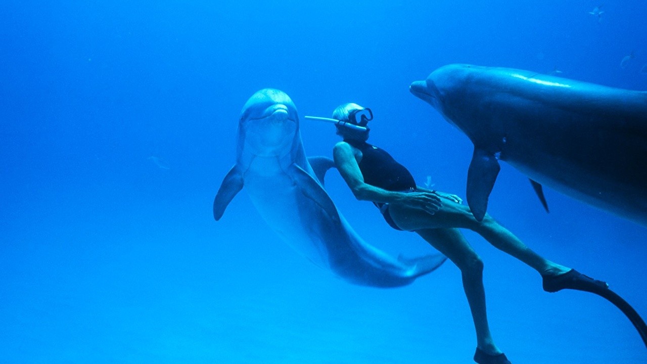 Dolphin Man. The Story of Jacques Mayol