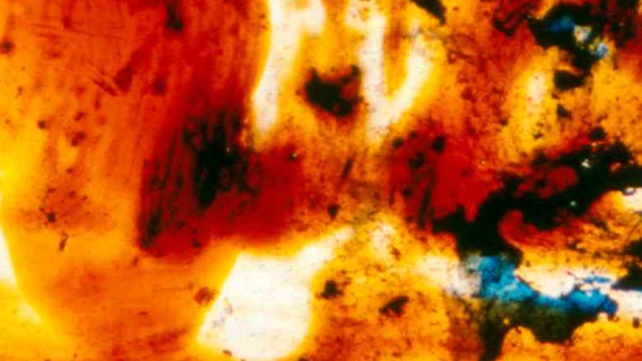 Panels for the Walls of Heaven