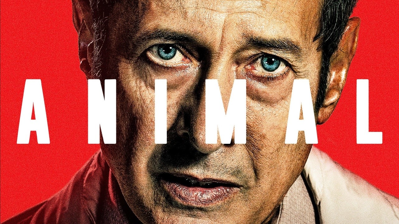 Animal