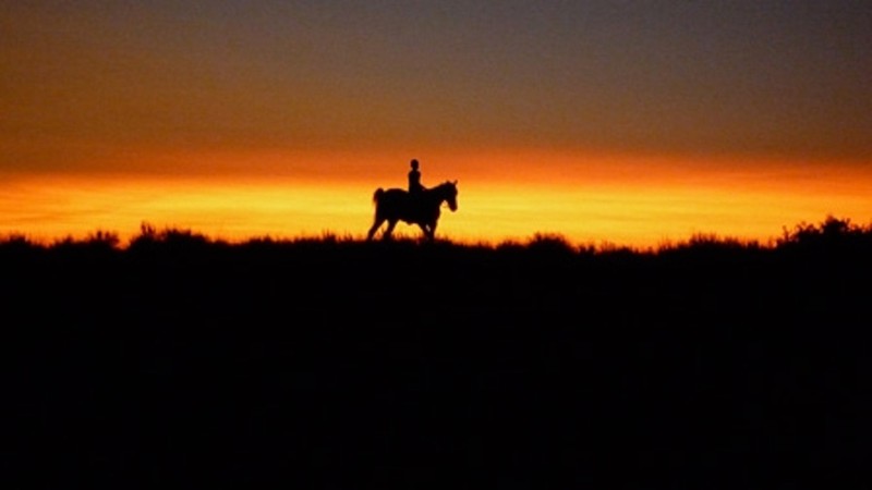 Reel Injun (2009) | MUBI