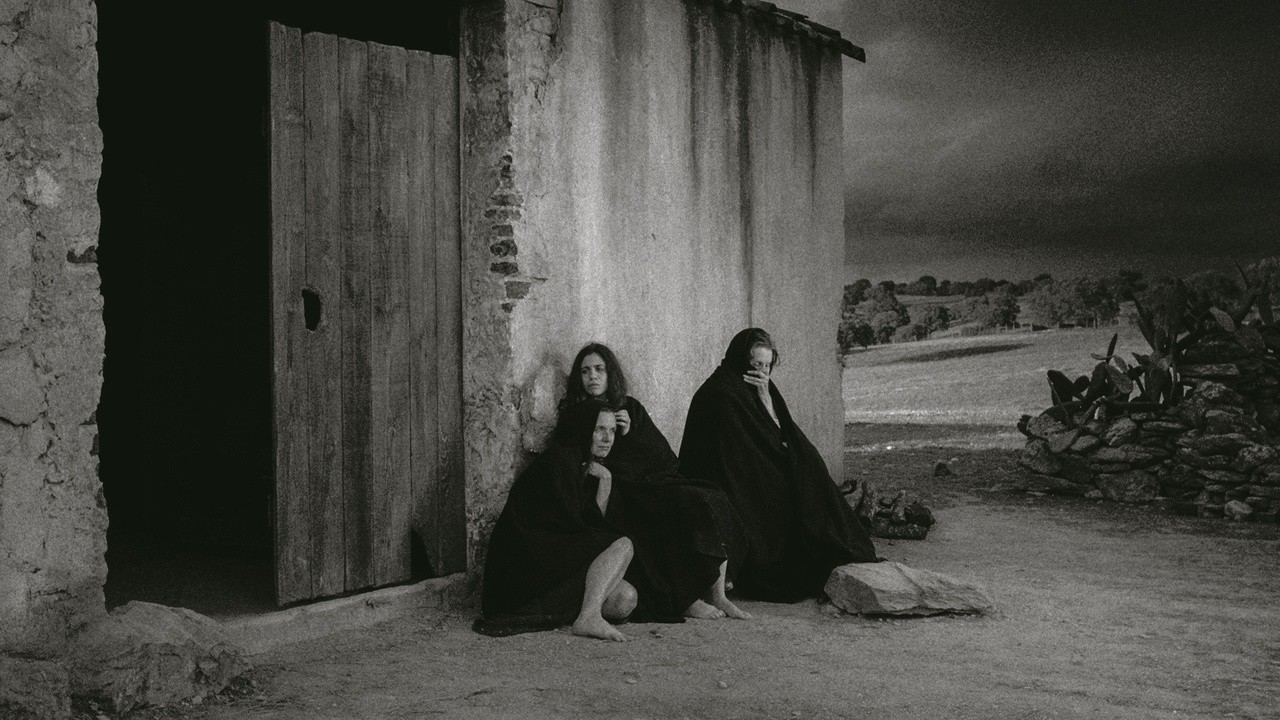 Image du film Raiva