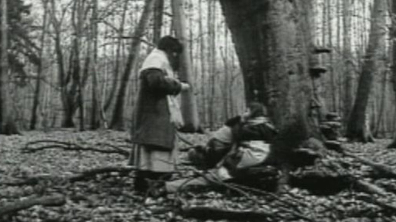 The Stream