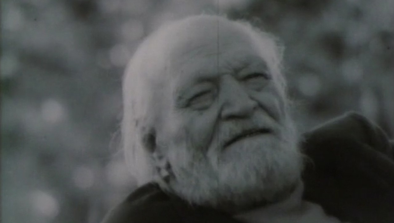 In cerca della poesia. Tracce e indizi