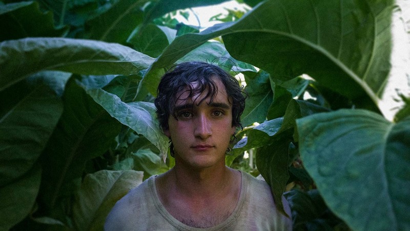 Happy as Lazzaro