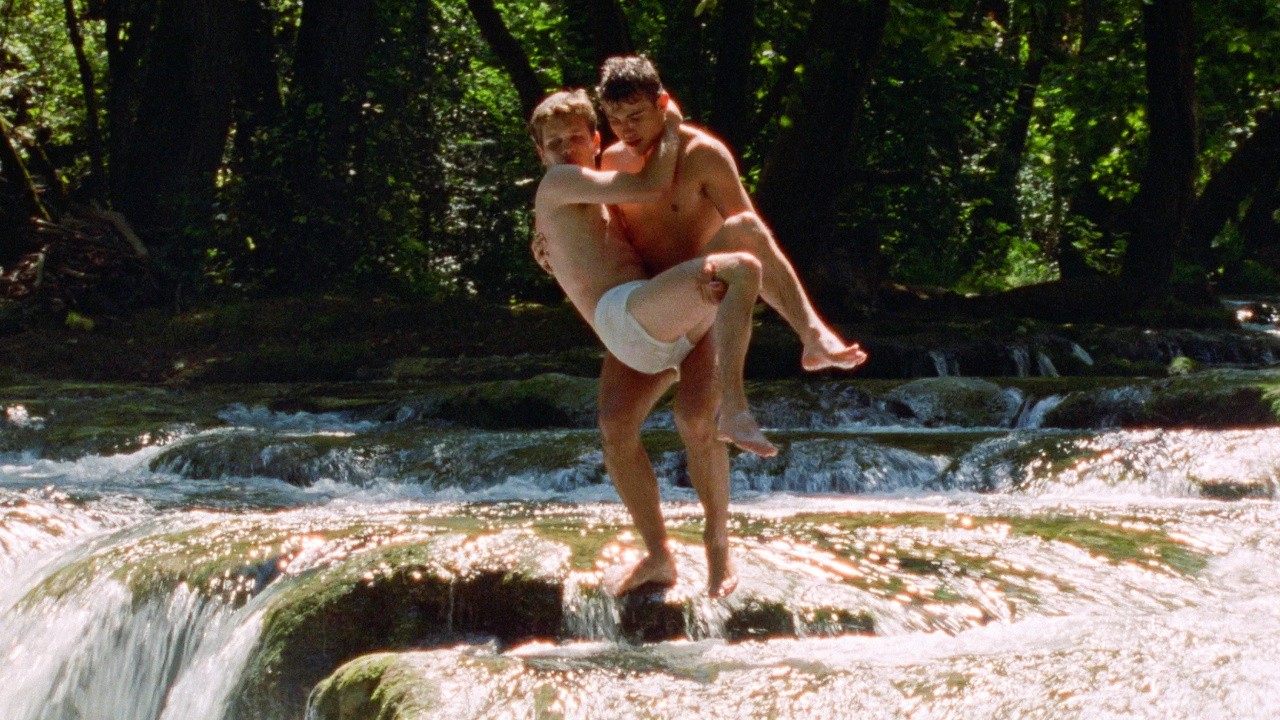 Image du film Les roseaux sauvages