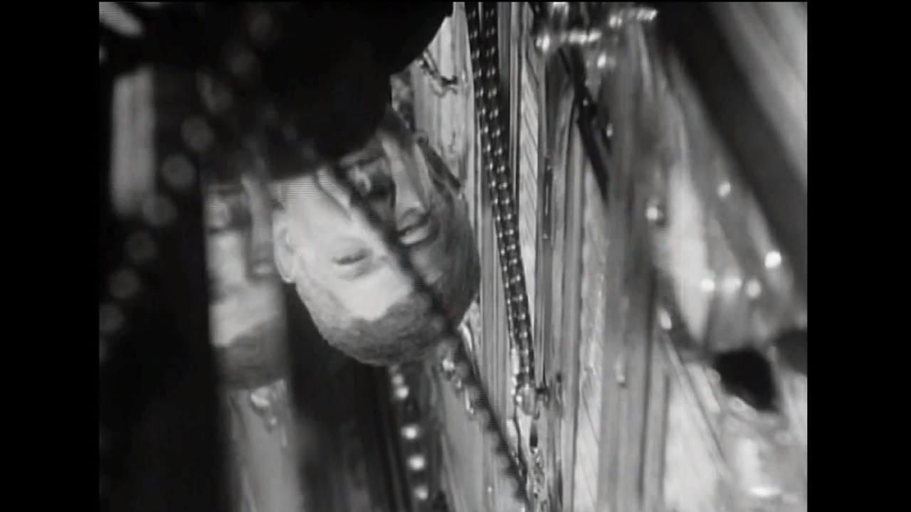 A Very Personal Celebration 2016 Mubi