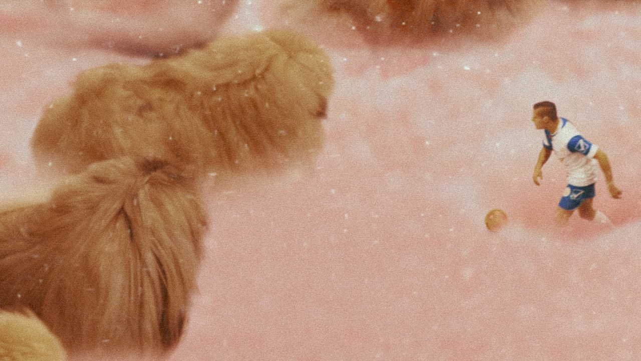Image du film Diamantino